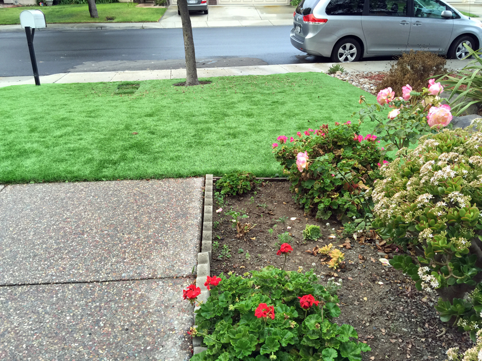 Artificial Grass Installation Octa, Ohio Dog Park, Front Yard Ideas