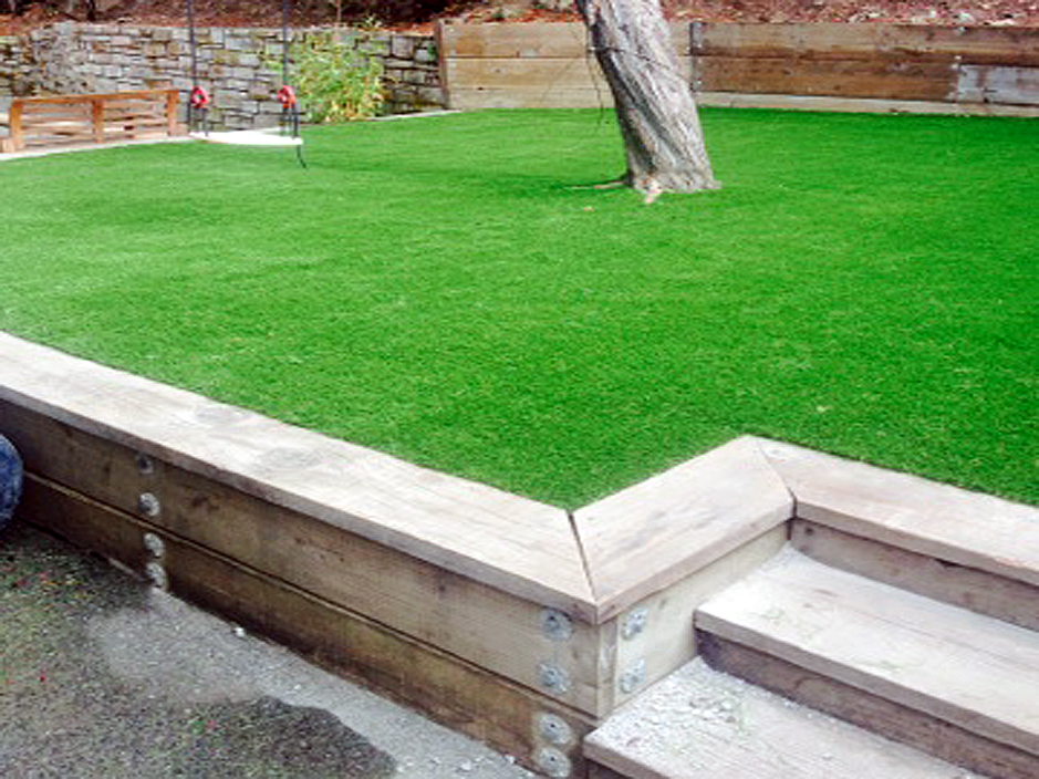 Synthetic Grass Cost Pleasant Hill Ohio Landscaping Business