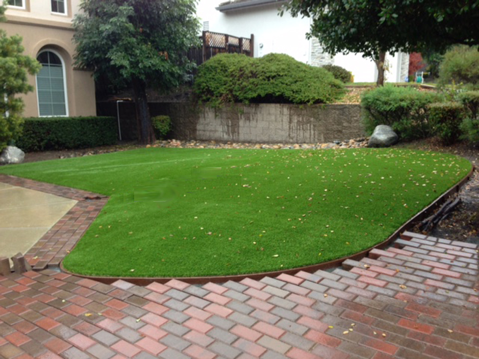 Turf Grass Amsterdam Ohio Lawn And Garden Front Yard