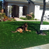 Artificial Turf Cost Darbyville, Ohio Rooftop, Front Yard Landscape Ideas