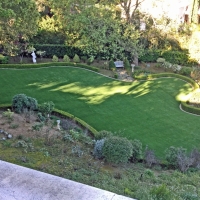 Artificial Turf Cost Tipp City, Ohio Dogs, Backyard Design