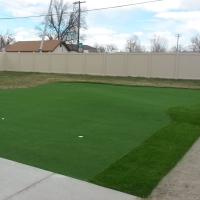 Artificial Turf Troy, Ohio Outdoor Putting Green, Backyards