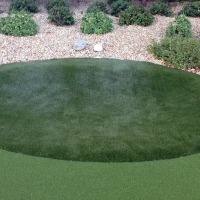 Artificial Turf Vincent, Ohio Garden Ideas