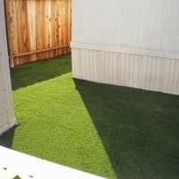 Fake Turf Gambier, Ohio Artificial Turf For Dogs, Backyard Ideas