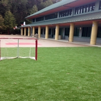 Grass Carpet Moraine, Ohio Backyard Sports, Commercial Landscape