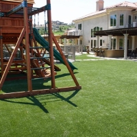 Grass Turf Prospect, Ohio Lawn And Garden, Backyards