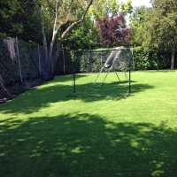 Plastic Grass Wellston, Ohio Rooftop, Backyard Designs