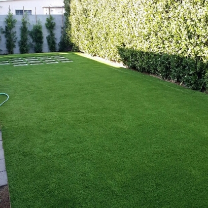 Artificial Grass Cambridge, Ohio Dog Hospital, Backyard Design