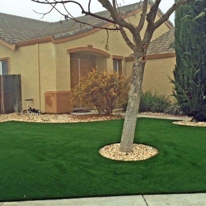 Artificial Grass Carpet Glenmont, Ohio Landscape Ideas, Small Front Yard Landscaping