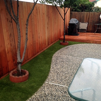 Artificial Grass Carpet Harpster, Ohio Lawn And Garden, Backyard Landscape Ideas