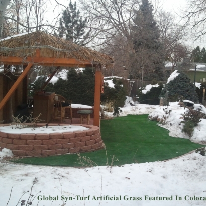 Artificial Grass Carpet Huber Ridge, Ohio Landscape Photos, Beautiful Backyards