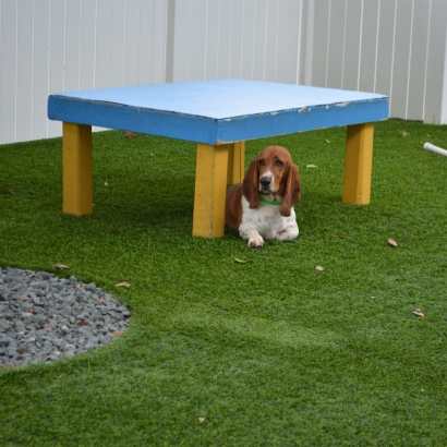 Artificial Grass Installation Lynchburg, Ohio Artificial Turf For Dogs, Dogs Park