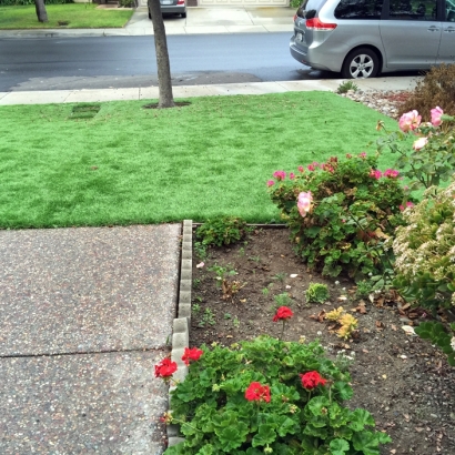 Artificial Grass Installation Octa, Ohio Dog Park, Front Yard Ideas