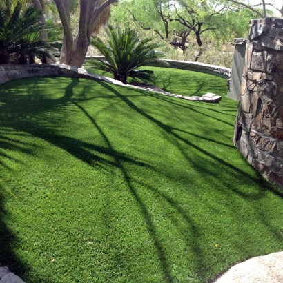 Artificial Grass Installation Rawson, Ohio Indoor Dog Park