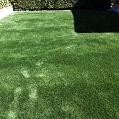 Artificial Grass Lincoln Village, Ohio Lawn And Landscape, Beautiful Backyards