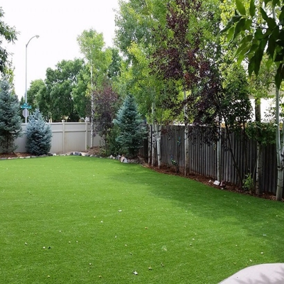 Artificial Grass Morral, Ohio Home And Garden, Beautiful Backyards