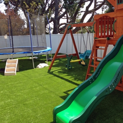 Artificial Turf Cost Fresno, Ohio Roof Top, Backyard Garden Ideas