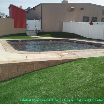 Artificial Turf Cost Hilliard, Ohio Landscape Ideas, Swimming Pool Designs