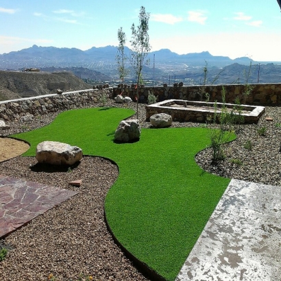 Artificial Turf Cost Malta, Ohio Gardeners, Backyards