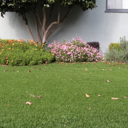 Artificial Turf Fletcher, Ohio Roof Top, Front Yard Design