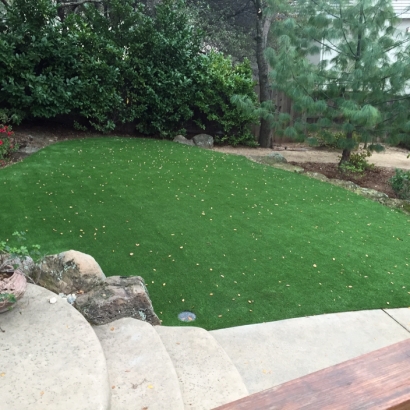 Artificial Turf Installation Conesville, Ohio Design Ideas, Backyard Garden Ideas