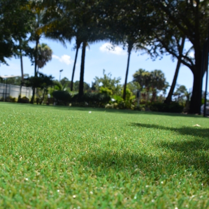 Artificial Turf Jackson Center, Ohio Gardeners, Recreational Areas