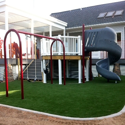 Best Artificial Grass Frankfort, Ohio Kids Indoor Playground, Backyard Garden Ideas