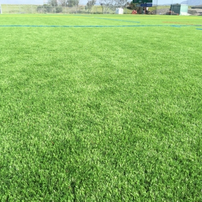 Best Artificial Grass New Marshfield, Ohio Lawn And Garden