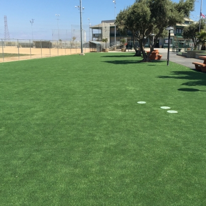 Fake Grass Carpet Fort McKinley, Ohio Roof Top, Recreational Areas