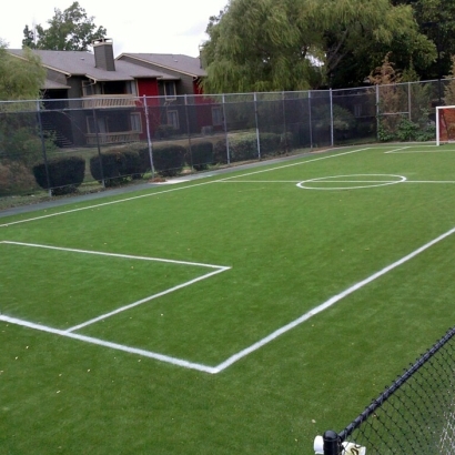 Fake Grass Carpet Logan, Ohio Sports Athority, Commercial Landscape