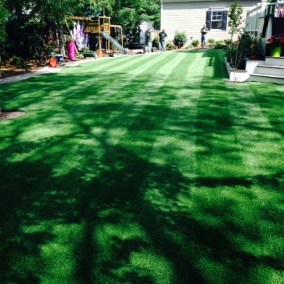Fake Grass Carpet Wharton, Ohio Design Ideas, Backyard Design