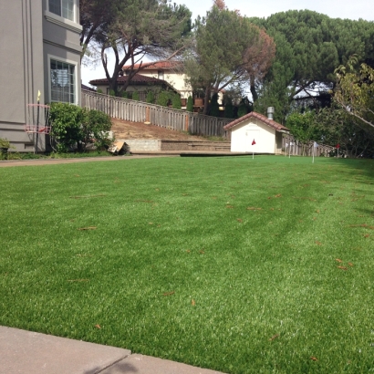 Fake Grass Carpet Willard, Ohio Putting Green Turf, Small Backyard Ideas