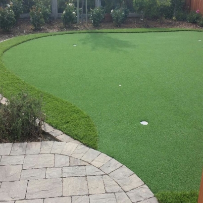 Fake Grass Powell, Ohio Outdoor Putting Green, Backyard Landscape Ideas