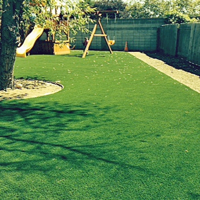 Fake Lawn Killbuck, Ohio City Landscape, Small Backyard Ideas