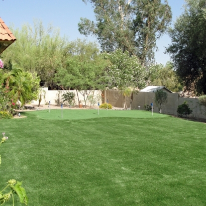 Fake Lawn South Zanesville, Ohio Home Putting Green, Beautiful Backyards