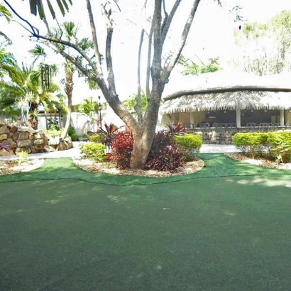 Faux Grass Martinsburg, Ohio Best Indoor Putting Green, Commercial Landscape