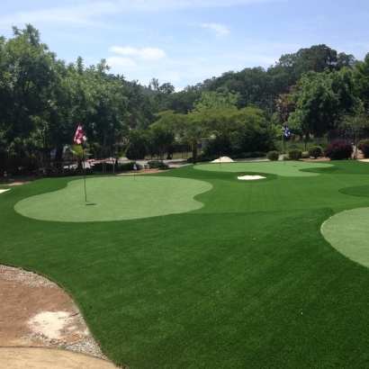 Faux Grass Ridgeway, Ohio Indoor Putting Greens, Front Yard