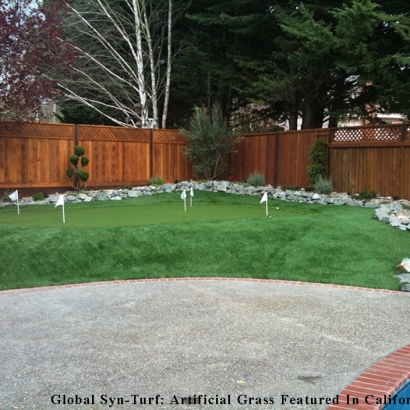 Grass Carpet Blacklick Estates, Ohio Landscape Ideas, Backyards