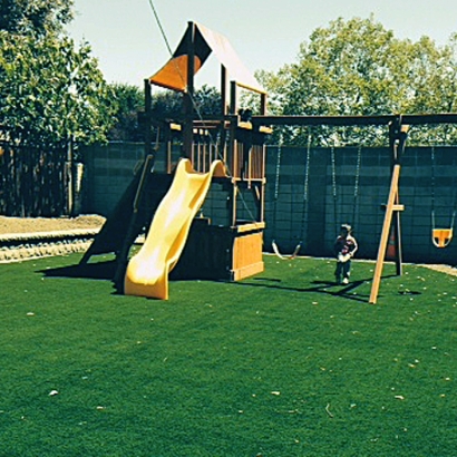 Grass Carpet Kettering, Ohio Roof Top, Backyard Landscaping