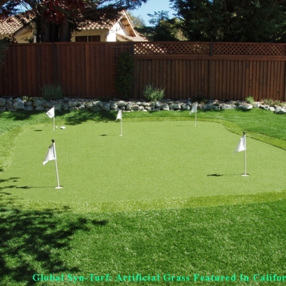 Grass Carpet Lincoln Village, Ohio Golf Green, Small Backyard Ideas