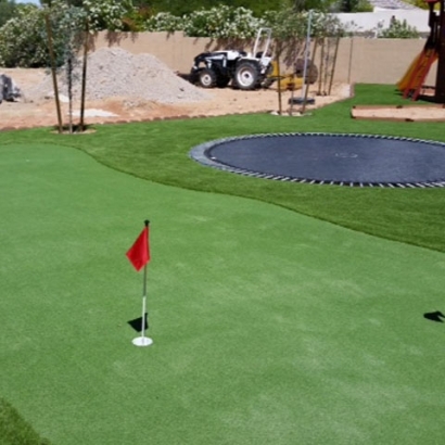 Grass Carpet Lockington, Ohio Putting Green Carpet, Backyards