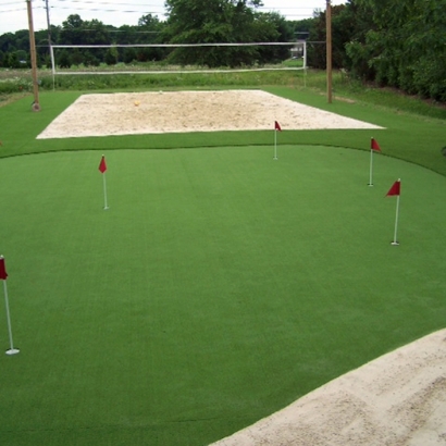 Grass Carpet Milledgeville, Ohio Design Ideas, Backyard Designs