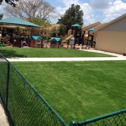 Grass Carpet Urbana, Ohio Gardeners, Commercial Landscape