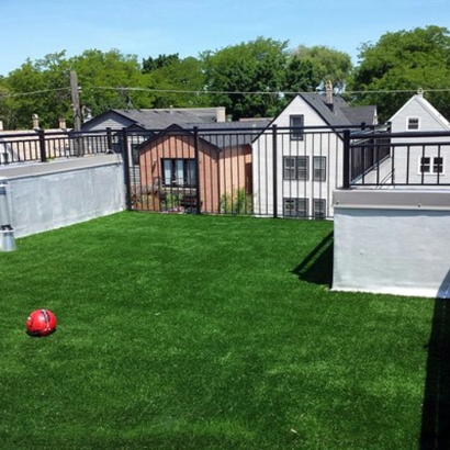 How To Install Artificial Grass Jeffersonville, Ohio Dog Parks, Veranda