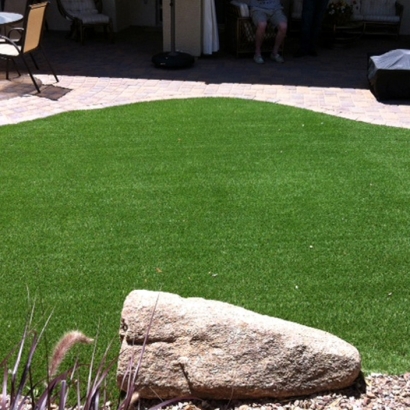 How To Install Artificial Grass South Webster, Ohio Hotel For Dogs, Backyard Landscaping Ideas