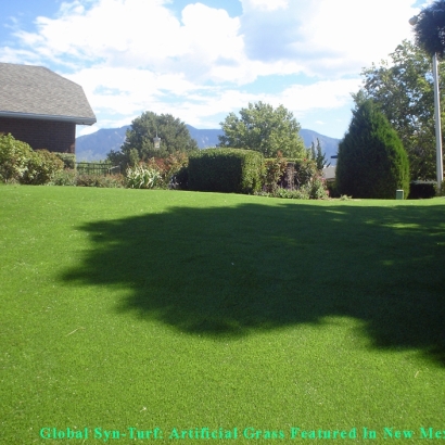 How To Install Artificial Grass Whitehall, Ohio Pet Turf, Backyard Landscaping Ideas
