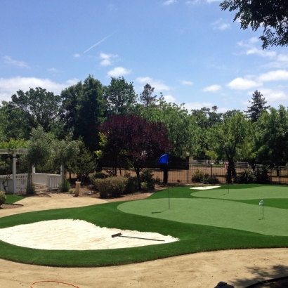 Plastic Grass Junction City, Ohio Backyard Putting Green, Front Yard Landscaping