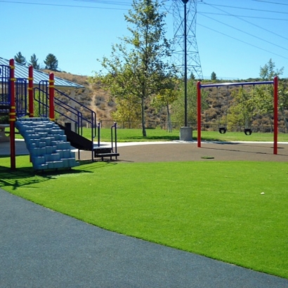 Plastic Grass Marengo, Ohio Landscaping Business, Parks