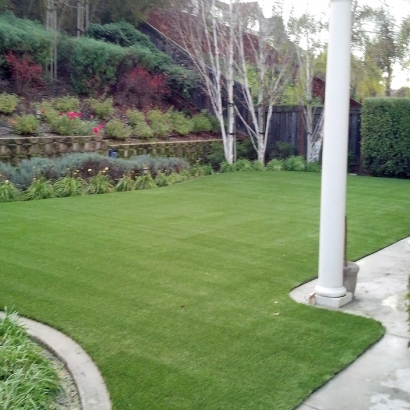 Synthetic Grass Bellbrook, Ohio Home And Garden, Backyard Landscaping Ideas