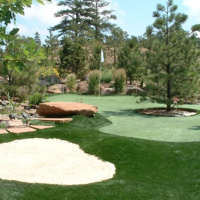 Synthetic Grass Cost Coalton, Ohio Putting Green Grass, Beautiful Backyards